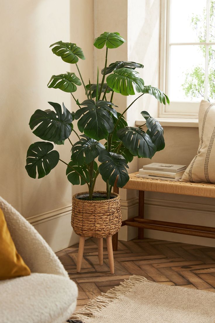 Buy Green Artificial Cheese Plant in Rattan Planter With Legs from the Next UK online shop.jpeg